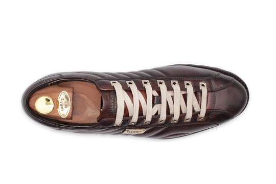 Leder -Turnschuhe