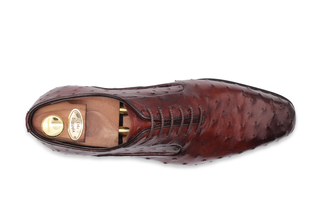 Stringata in pelle pregiata in struzzo marrone