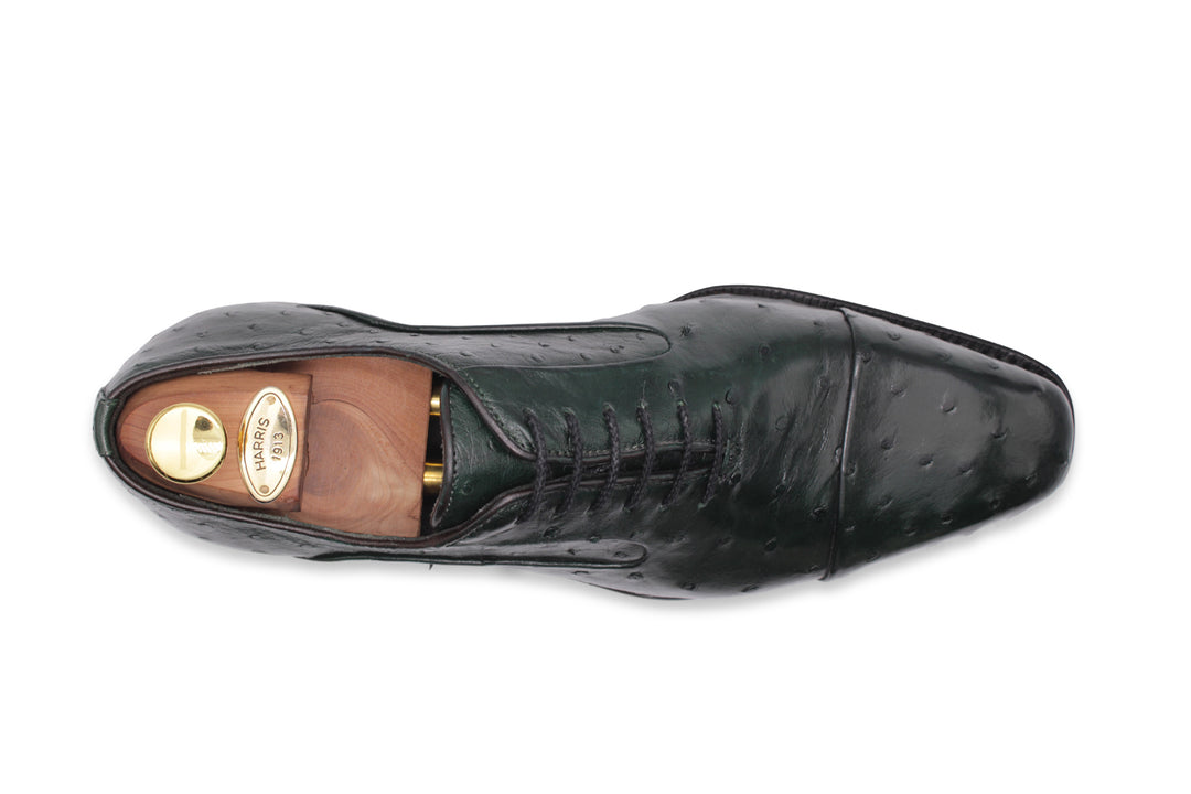 Stringata in pelle pregiata in struzzo nera