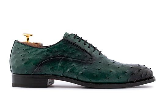Cuir précieux à cordes