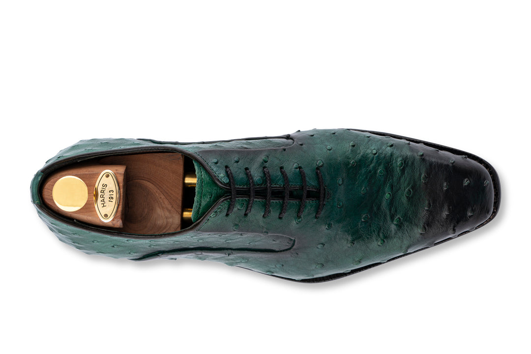 Cuir précieux à cordes