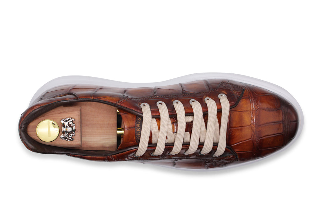 Baskets Crocodrillo