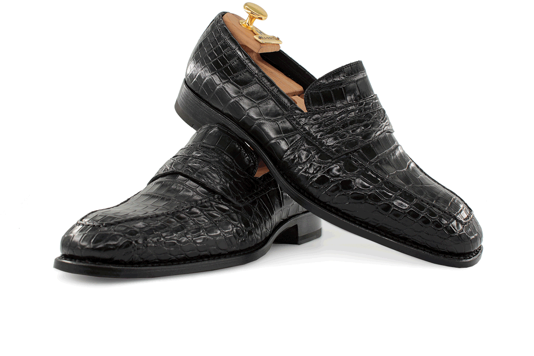 Crocodile moccadrillo