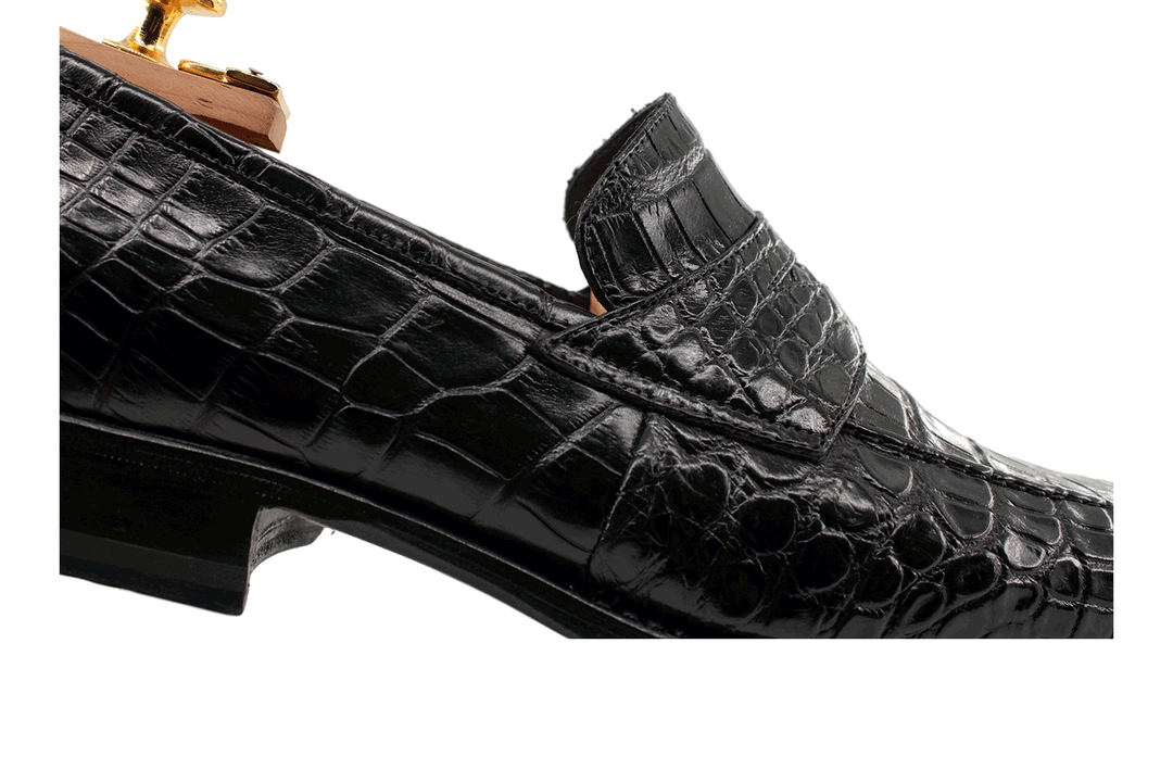 Crocodile moccadrillo