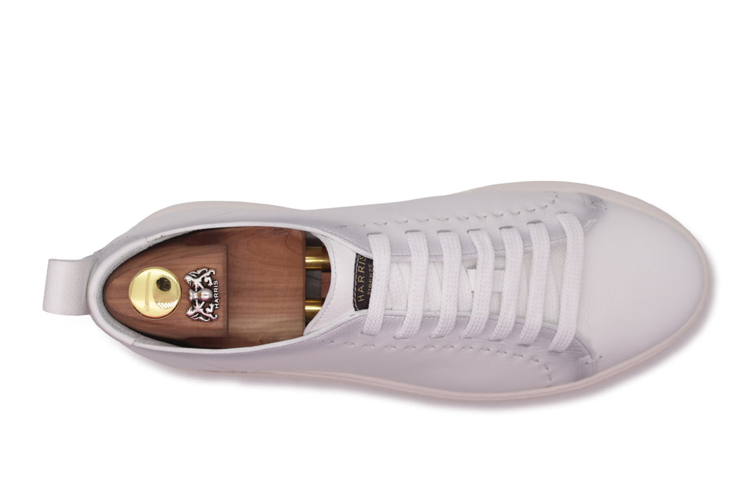 Schattierte Ledersneaker